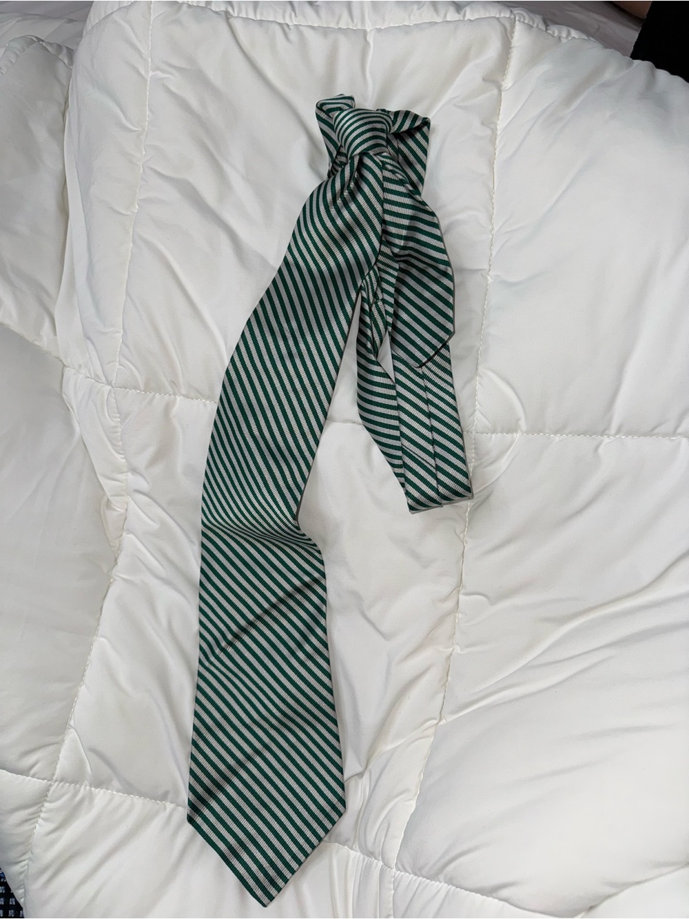 White Down-Style Comforter with Green Stripe Accent